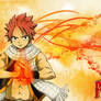 NATSU the Salamander