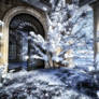 Winter Places Stock Background 7