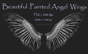 Painted Angel Wings Stock by bonbonka