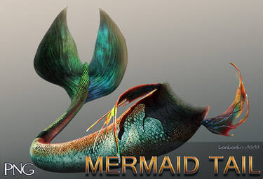 Mermaid Tail PNG Stock Image