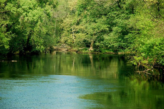 Reflections in Green