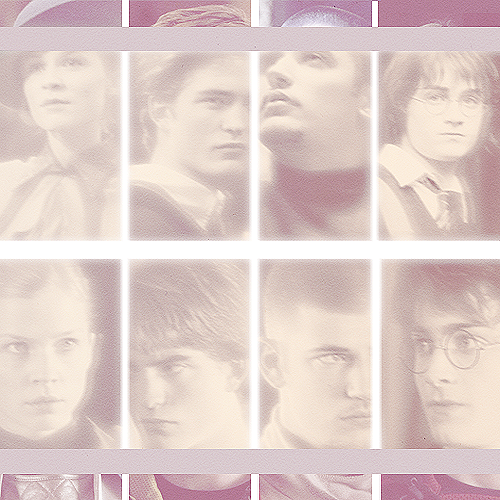 Picspam Hogwart's 4 champions