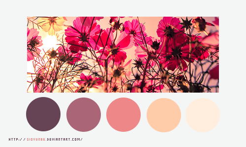 Color palette 023