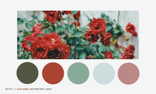 Color palette 024