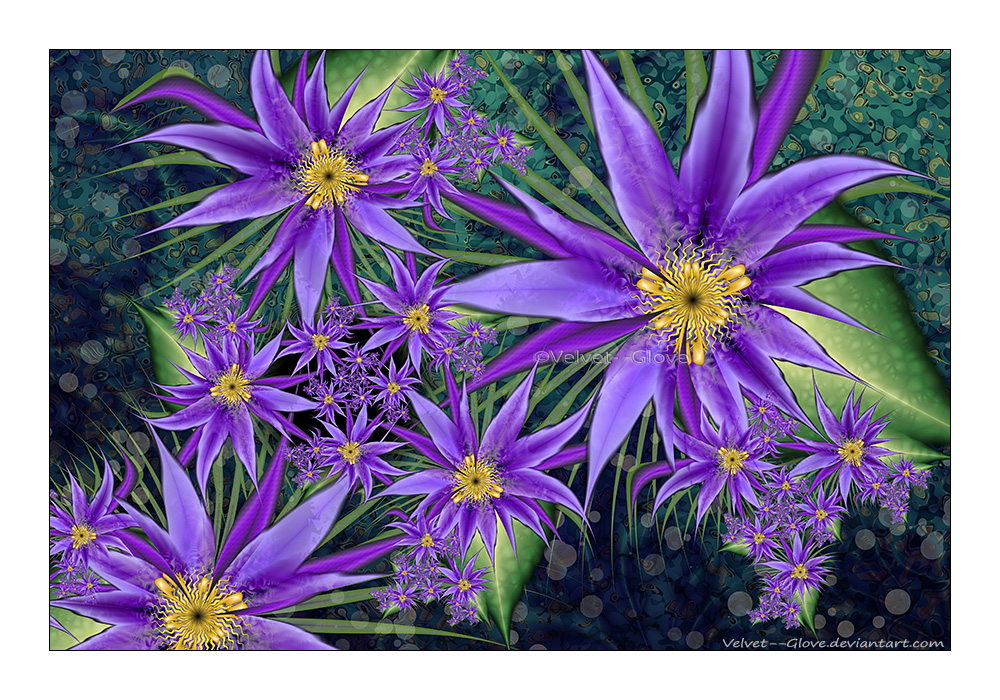 Purple Cascade by Velvet--Glove Purple Cascade by Velvet--Glove