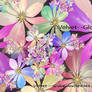 Colour My World With Flowers