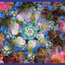 Ganimedes Anemone
