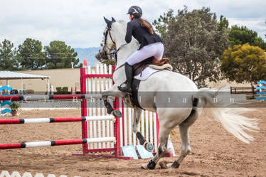 Tucson Show Jumping 11