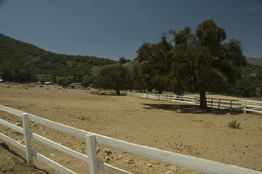 The Oak Corral