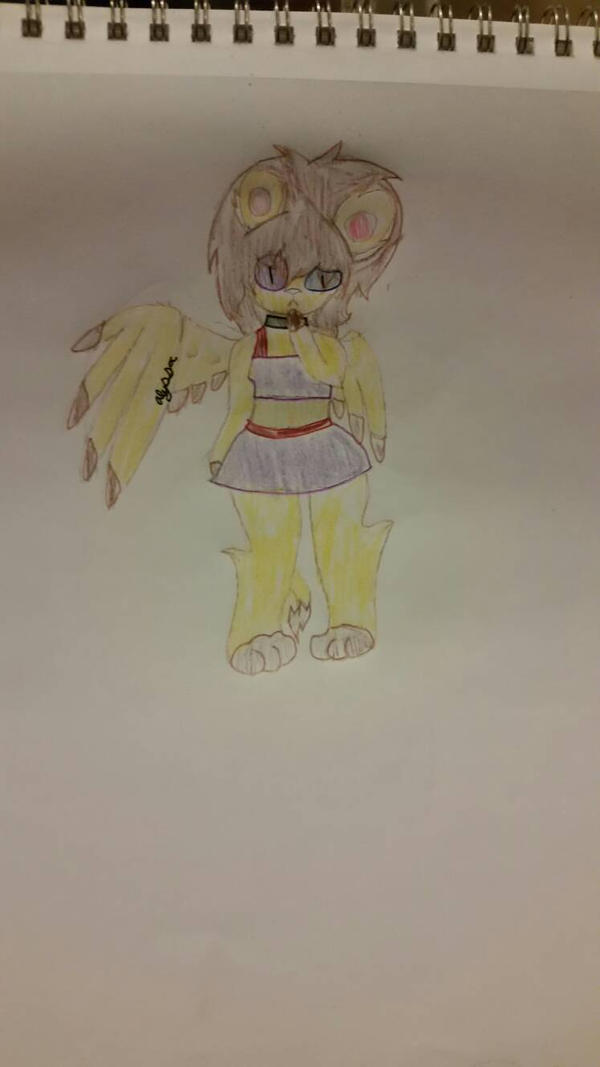 new furry oc design 2 by ShadowDiamond0 on DeviantArt