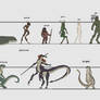 Races of Ajjeria WIP 2