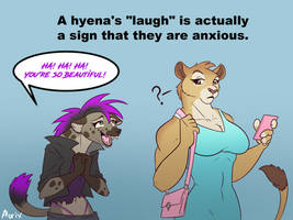 Hyena laugh