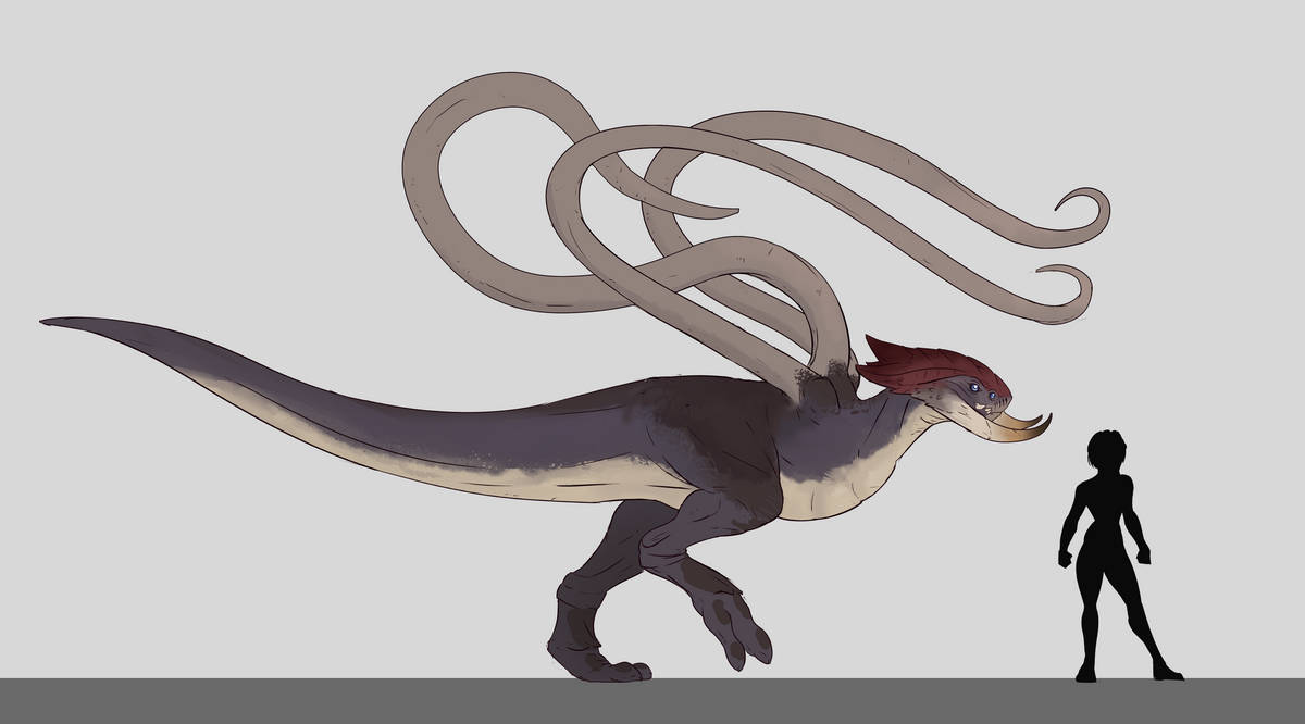 Drex Face Drexx Full body by alorix on DeviantArt