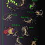 Warlords Castes