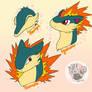 Pokemon - Cyndaquil Evolution Headshots