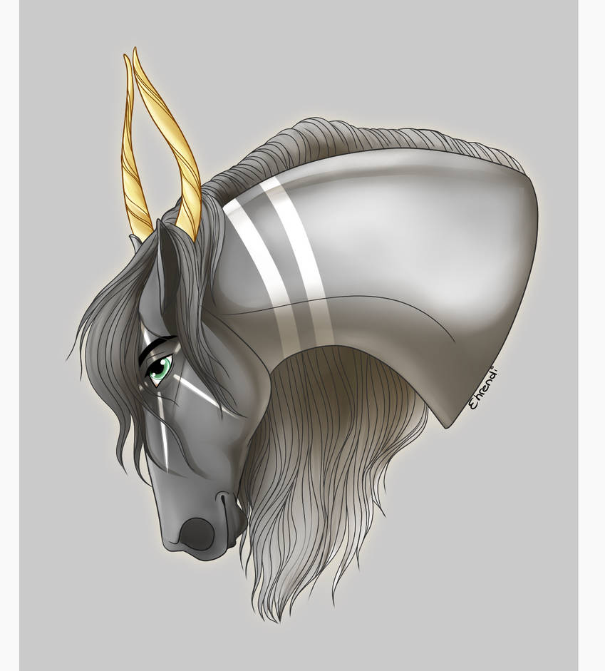 YHH || Matheo by Ehrendi