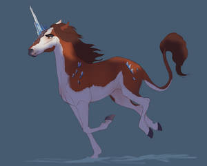 Junicorn: Day 6