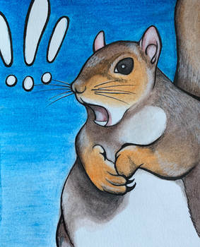 That's Nuts!