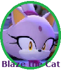 9 Blaze the Cat