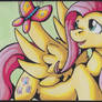 Fluttershy ACEO