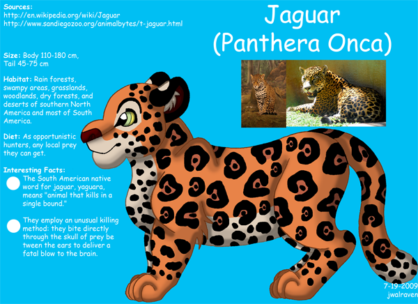 Jaguar Info by JwalsShop on DeviantArt Jaguar Info by JwalsShop on DeviantArt