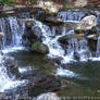 The Grotto