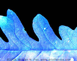 Ice Leaf