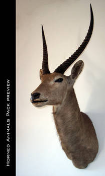 Horned Animal Pack_preview 01