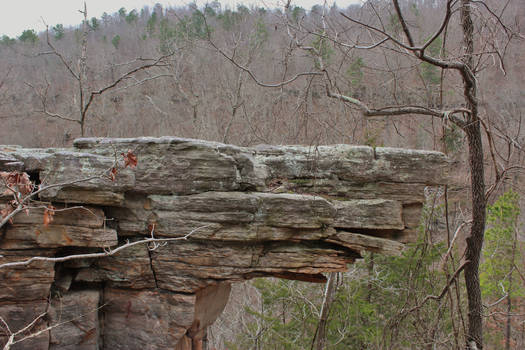 Out On a Ledge