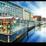 amsterdam flower market