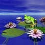 Waterlily frog