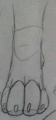 Paws Front View New paw design: Front View by Xiias on DeviantArt