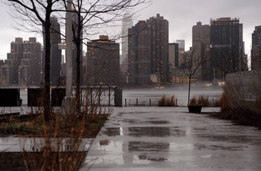 Rainy New York City