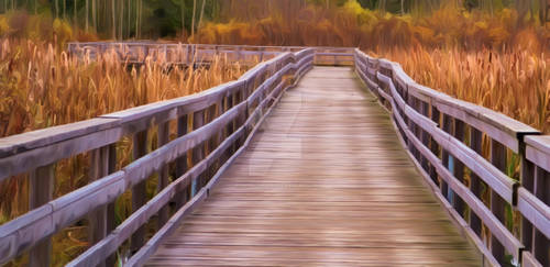 Autumn Path