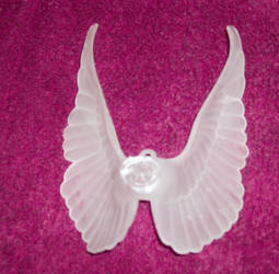 Angel Wings 1