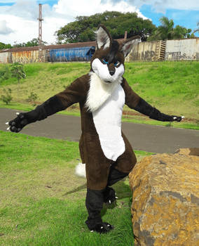 Play in the park III