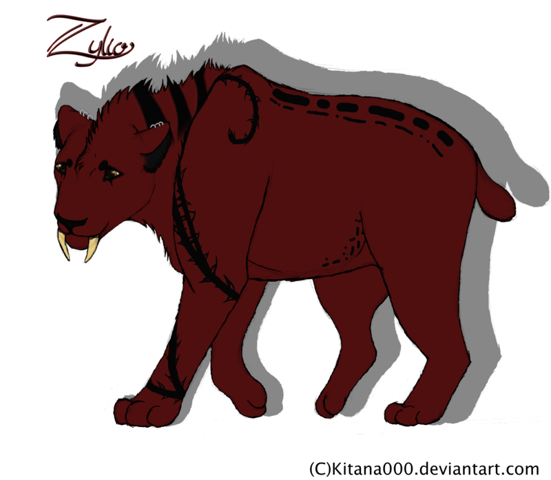 Character Sheet: Zylio