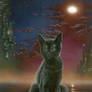 Le Chat d'Ailleurs