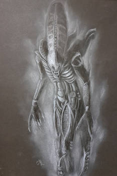 - Alien fanart -
