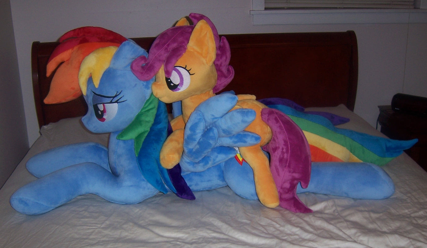 Dashie and Scootaloo