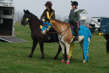 Our amazing HTTYD horse costumes