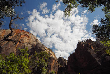 Zions Sky