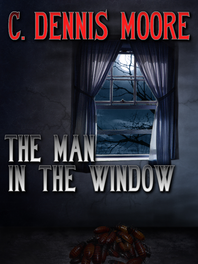 The Man in the Window cover