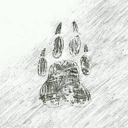 wolf paw by musicwolfey