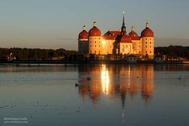 Moritzburg Castle Evening Sun