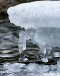 Ice Shark by wiebkerost