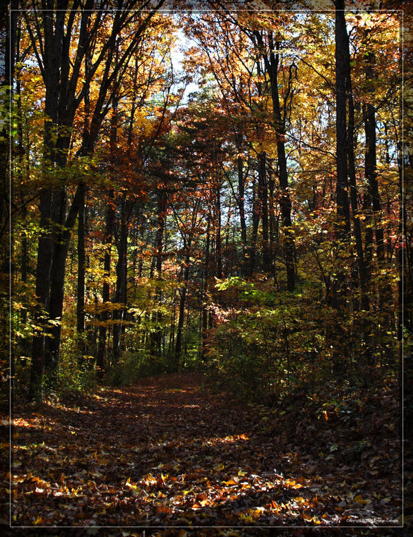 Crowders Mountain 20D0050964