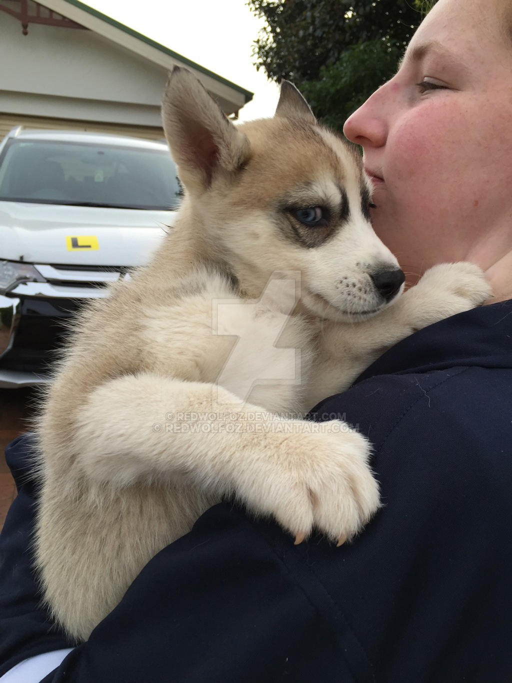 You Re Doing Me A Frighten By Redwolfoz On Deviantart You Re Doing Me A Frighten By Redwolfoz On Deviantart