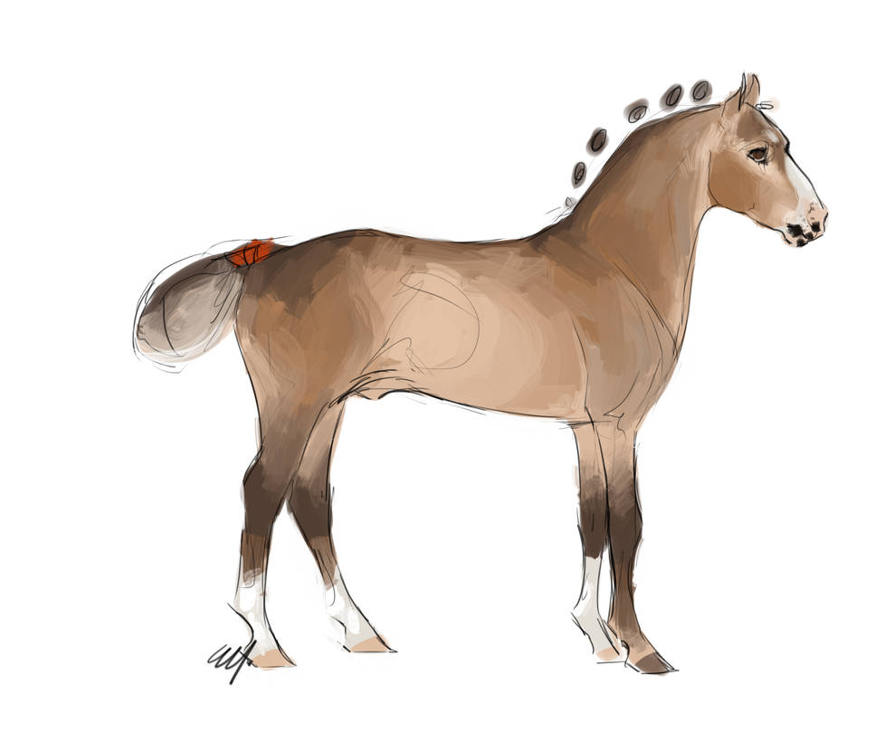 SS Sundance Ruffian by empluvie on DeviantArt