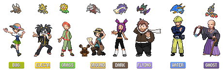 Gym Leaders